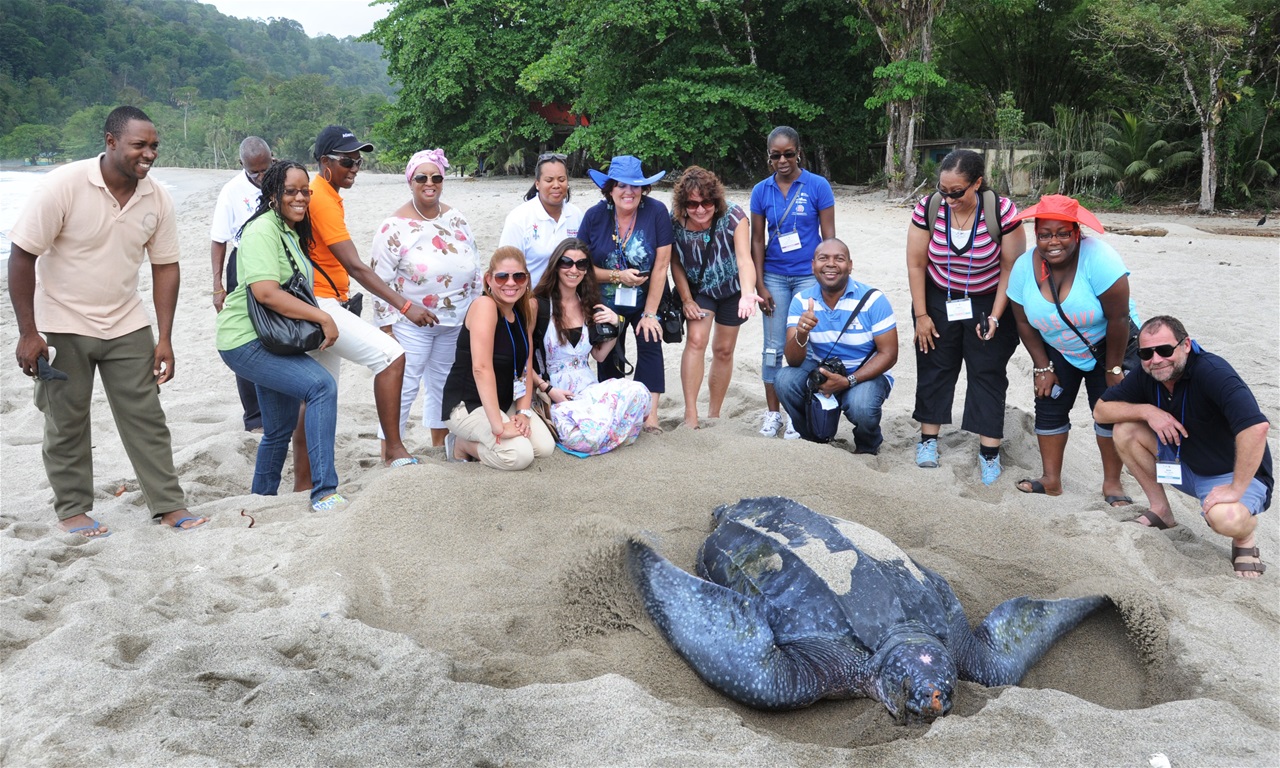 Turtle Watching Trinidad Vacation Homes